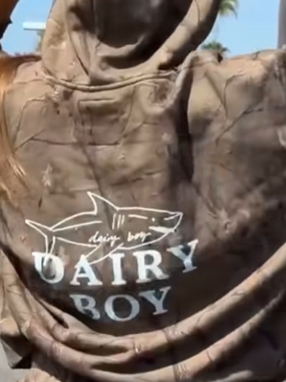 Dairy Boy Brown Hooded Jacket - Casual Women's Coat